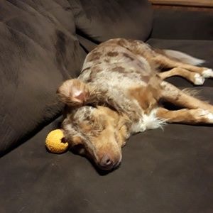 Meet your Posher, Barbie